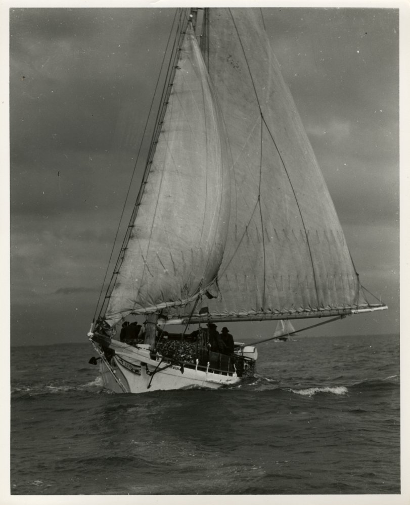 98-224 (click for large image)